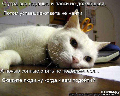 ���� 5: �������� ������� ����)))