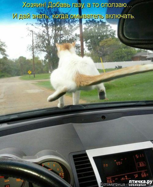 ���� 6: �������� ������� ����)))