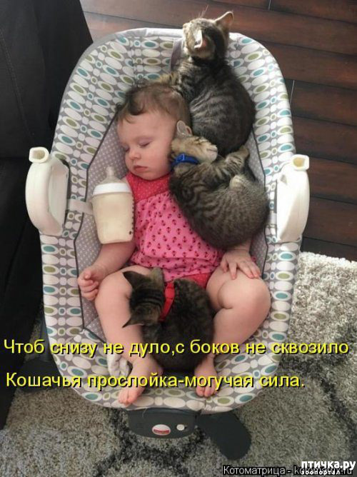 ���� 7: �������� ������� ����)))