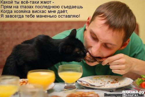 ���� 8: �������� ������� ����)))