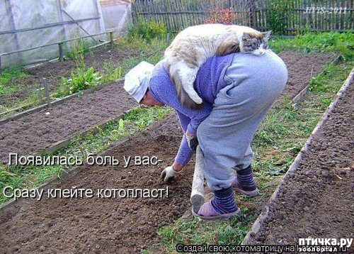 ���� 9: �������� ������� ����)))