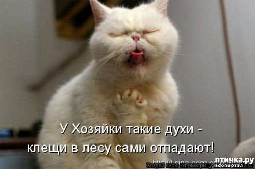 ���� 10: �������� ������� ����)))