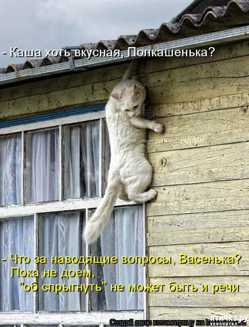 ���� 11: �������� ������� ����)))