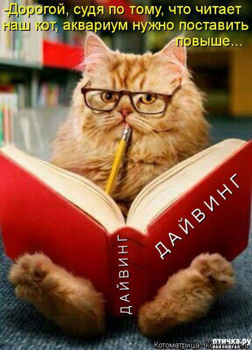 ���� 12: �������� ������� ����)))