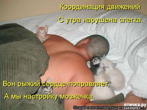 ���� 13: �������� ������� ����)))