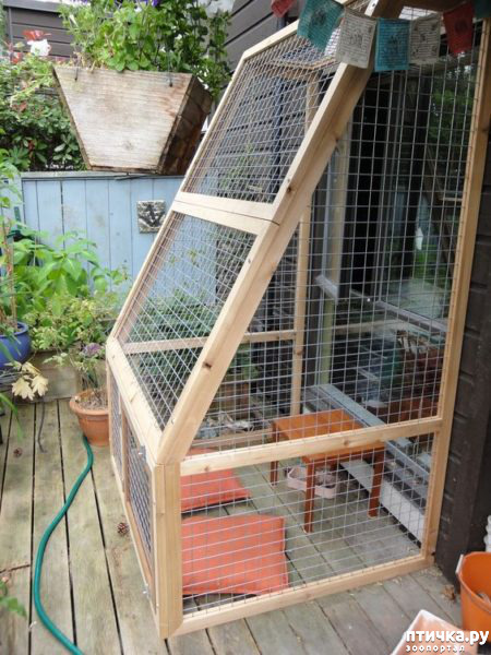 ���� 5: ��� ������� ������ ���������� ��� �����