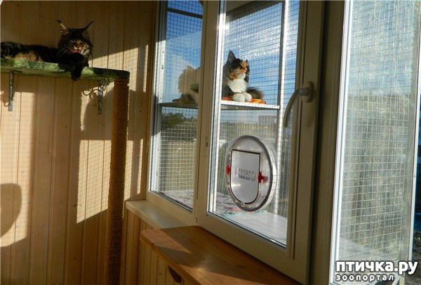 ���� 6: ��� ������� ������ ���������� ��� �����