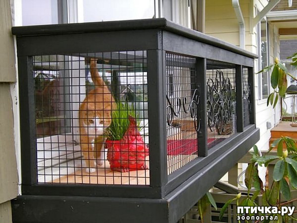 ���� 8: ��� ������� ������ ���������� ��� �����