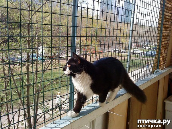 ���� 9: ��� ������� ������ ���������� ��� �����