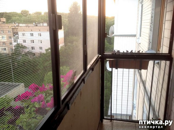 ���� 10: ��� ������� ������ ���������� ��� �����