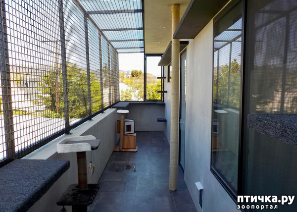 ���� 11: ��� ������� ������ ���������� ��� �����