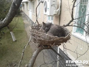 ����: �� �����: ���� ���������