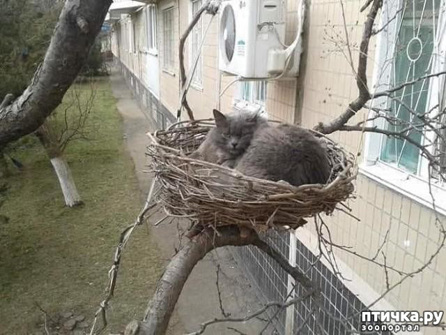 ���� 1: �� �����: ���� ���������