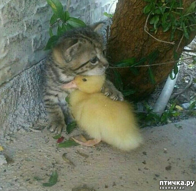 ���� 1: ���������� �� �����.