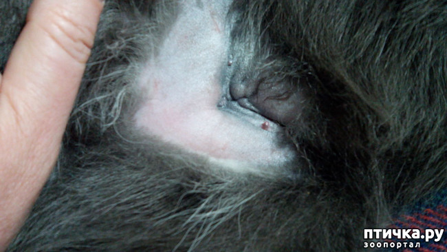 ���� 9: ��������� ����-���������