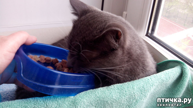 ���� 8: ��������� ����-���������