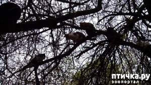 ����: ������� �������