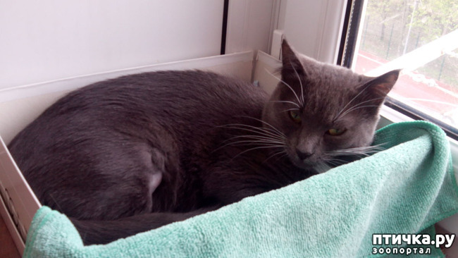 ���� 7: ��������� ����-���������