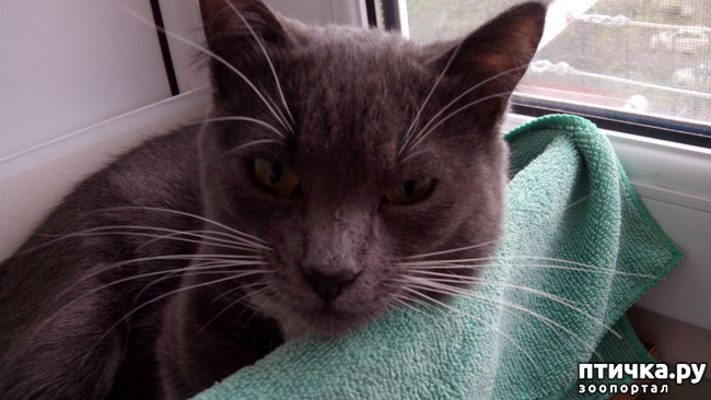 ���� 10: ��������� ����-���������