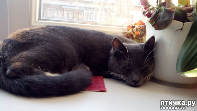 ���� 1: ��������� ����-���������