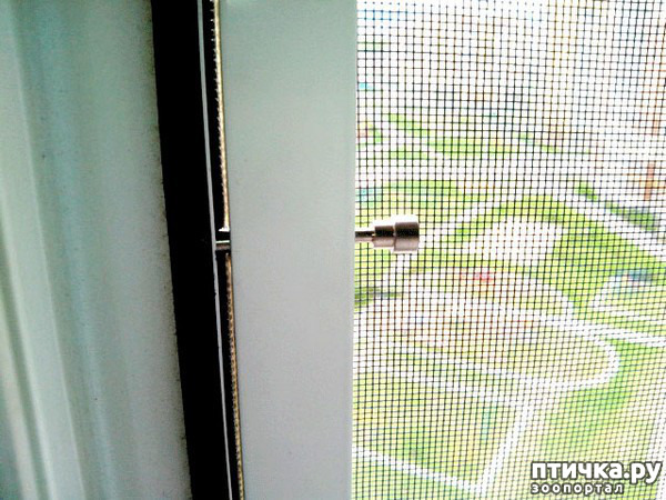 ���� 2: ��� ������� ������ ���������� ��� �����