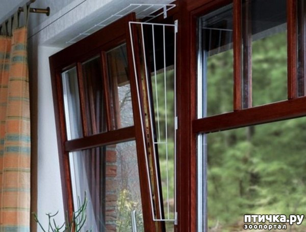 ���� 3: ��� ������� ������ ���������� ��� �����