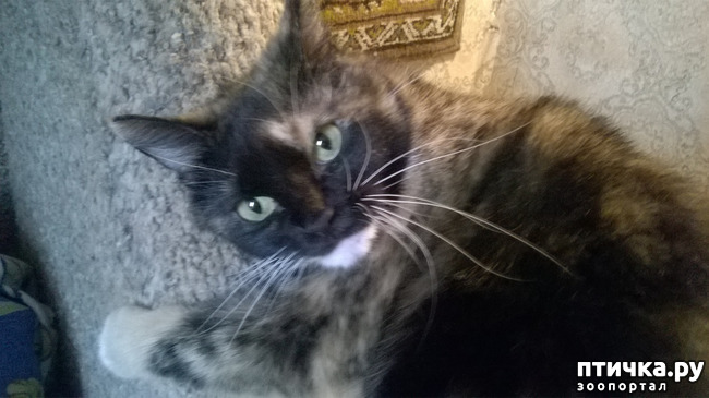 ���� 10: ������� � ��������� - ����� � �����������!