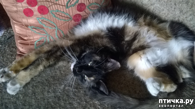 ���� 8: ������� � ��������� - ����� � �����������!