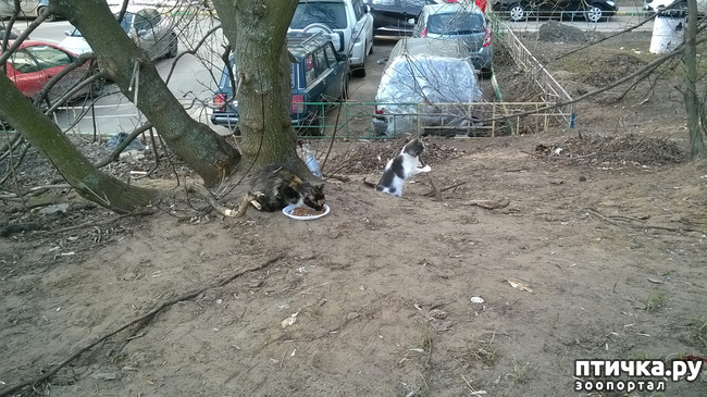 ���� 16: ������� � ��������� - ����� � �����������!