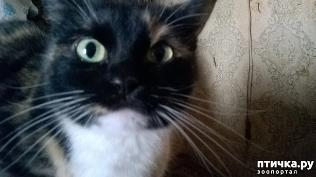 ���� 3: ������� � ��������� - ����� � �����������!