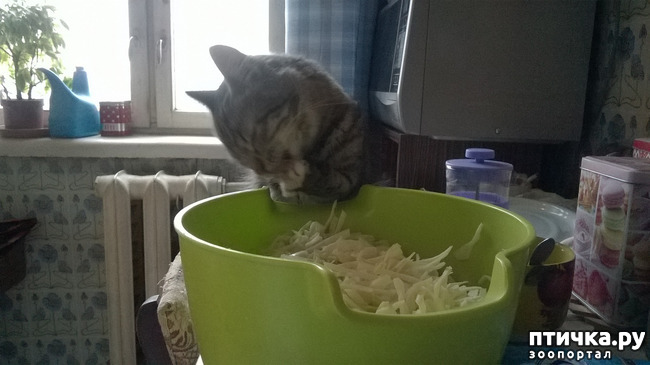 ���� 4: ������� � ��������� - ����� � �����������!