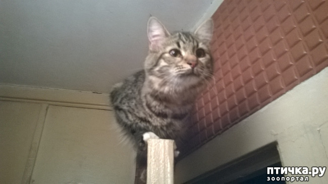 ���� 11: ������� � ��������� - ����� � �����������!