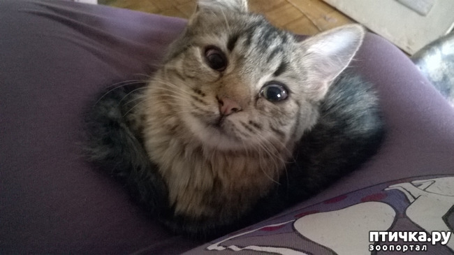 ���� 14: ������� � ��������� - ����� � �����������!