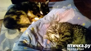 ����: ������� � ��������� - ����� � �����������!