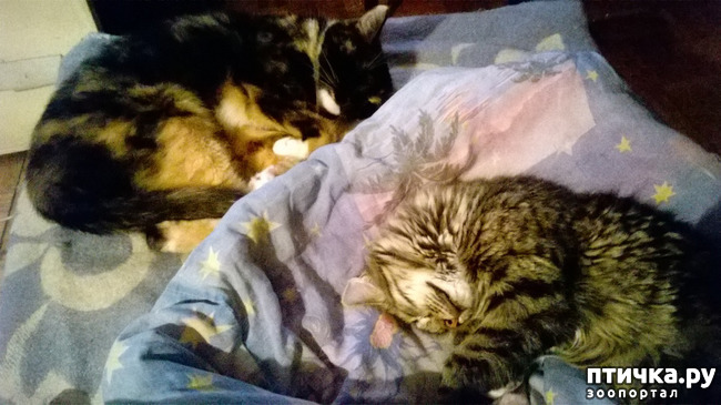 ���� 1: ������� � ��������� - ����� � �����������!