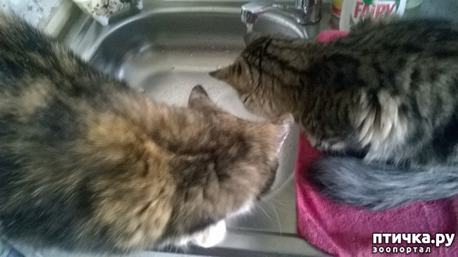 ���� 2: ������� � ��������� - ����� � �����������!