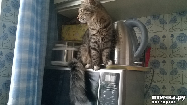 ���� 12: ������� � ��������� - ����� � �����������!