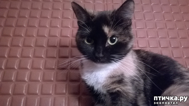 ���� 13: ������� � ��������� - ����� � �����������!