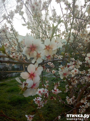 ����: �����)))