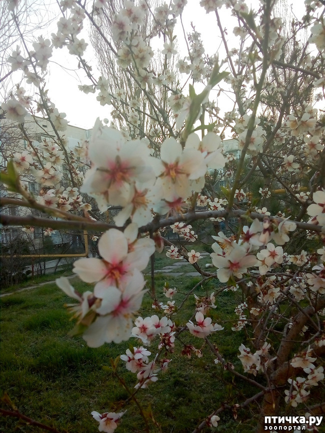 ���� 1: �����)))