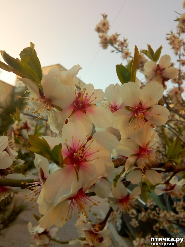 ���� 3: �����)))