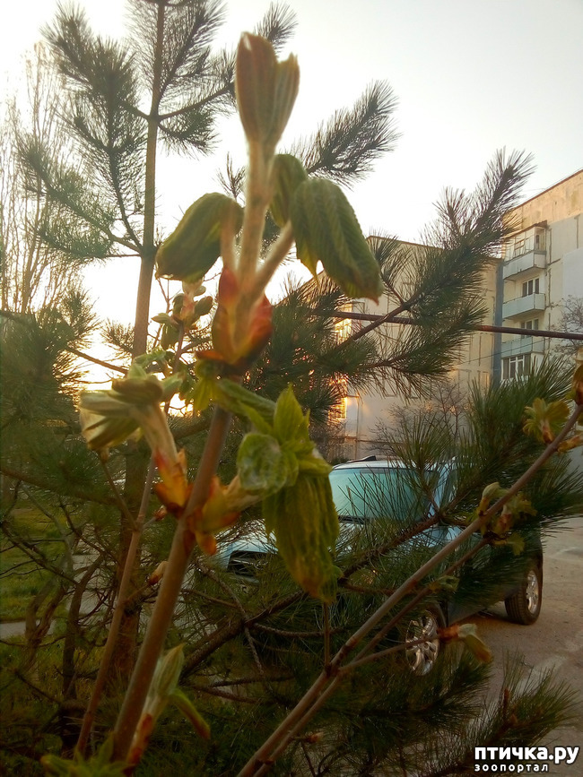 ���� 4: �����)))