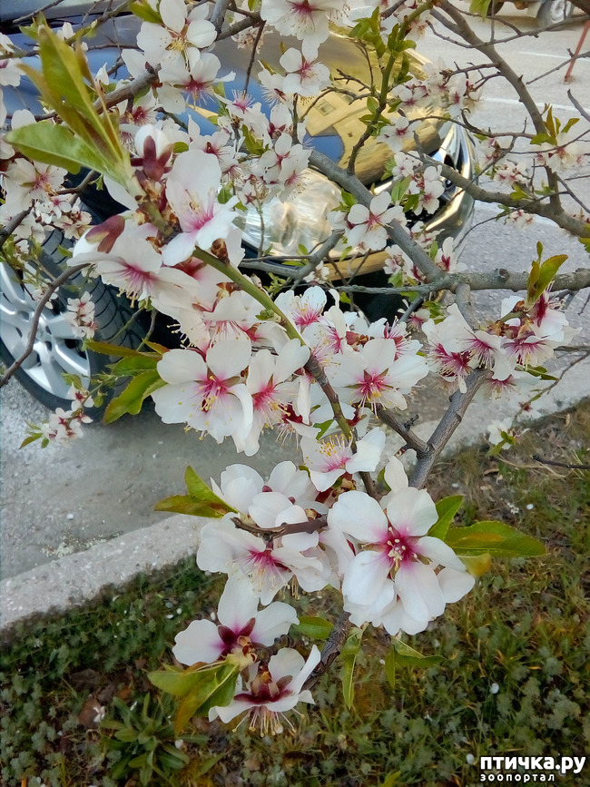 ���� 5: �����)))