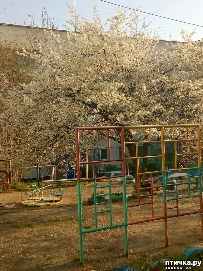 ���� 12: �����)))