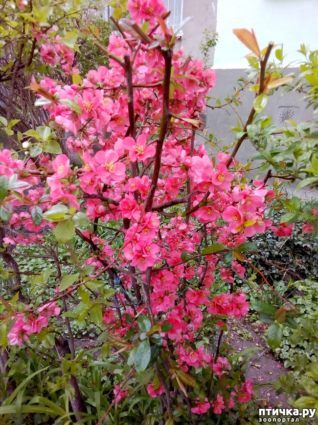 ���� 6: �����)))