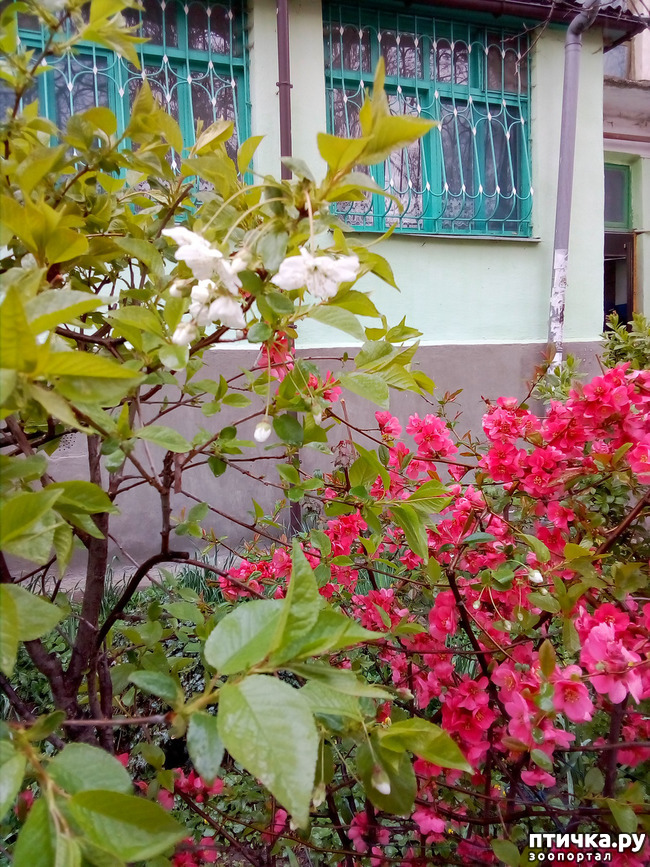 ���� 7: �����)))