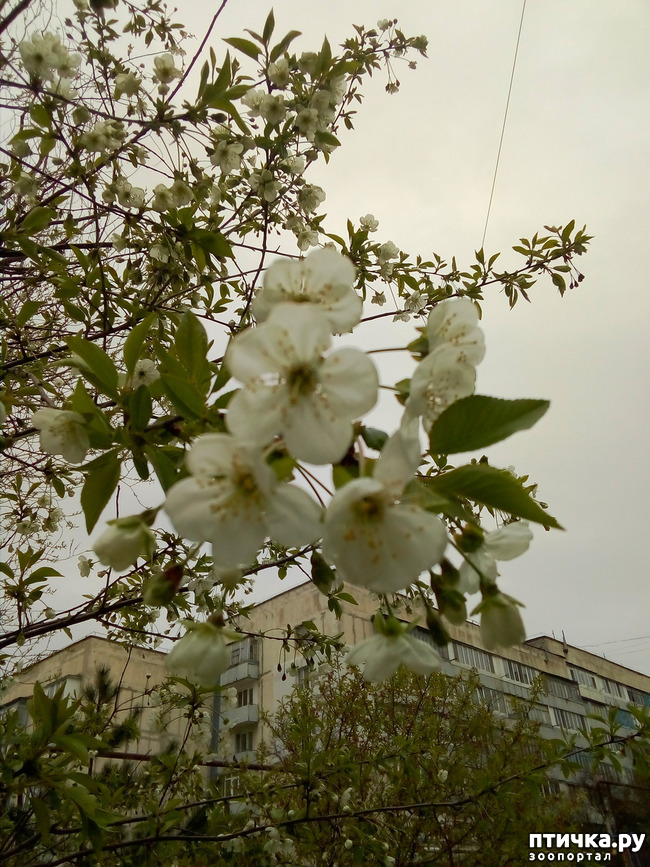 ���� 11: �����)))