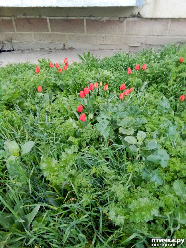 ���� 8: �����)))