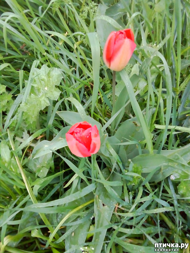 ���� 9: �����)))