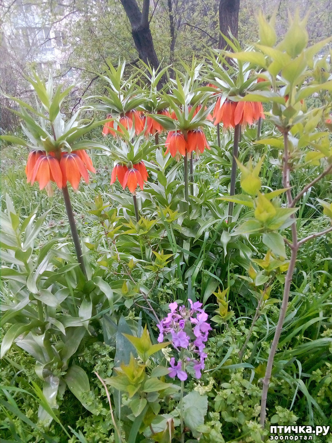 ���� 10: �����)))